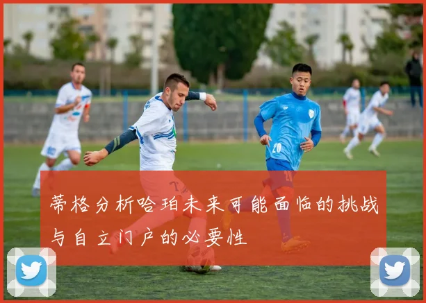 蒂格分析哈珀未来可能面临的挑战与自立门户的必要性